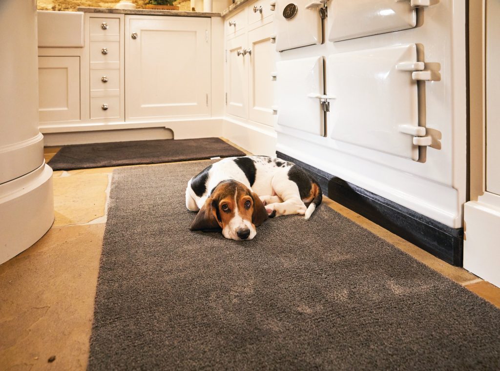 Pet Rug | Clove Brown Howler & Scratch | Pet Mats UK Mainland Free Shipping